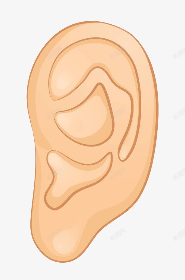 耳朵插画png免抠素材_新图网 https://ixintu.com 人 人耳朵 免抠 免抠素材 器官 局部 插画 耳 耳朵