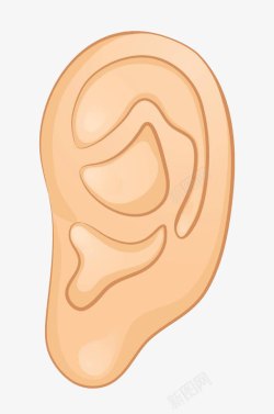 局部器官耳朵插画高清图片
