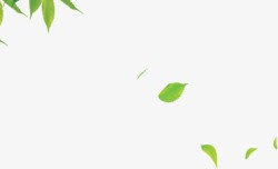 绿色海报植物树叶白底图素材