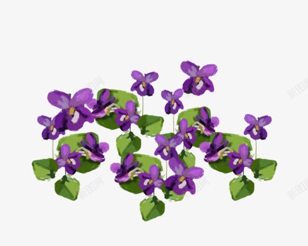 一片紫色花朵装饰png免抠素材_新图网 https://ixintu.com 一片 紫色 花朵 装饰