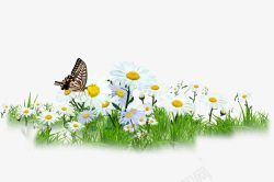 蝴蝶降落花朵美景田园素材