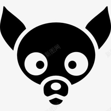 奇瓦瓦的狗脸图标图标