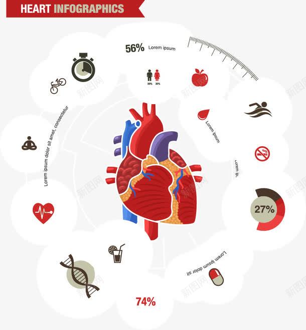 心脏信息数据图png免抠素材_新图网 https://ixintu.com 信息 心脏 数据图