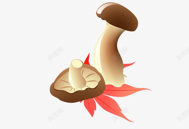 新鲜蘑菇png免抠素材_新图网 https://ixintu.com 蔬菜 蘑菇 食材 食物