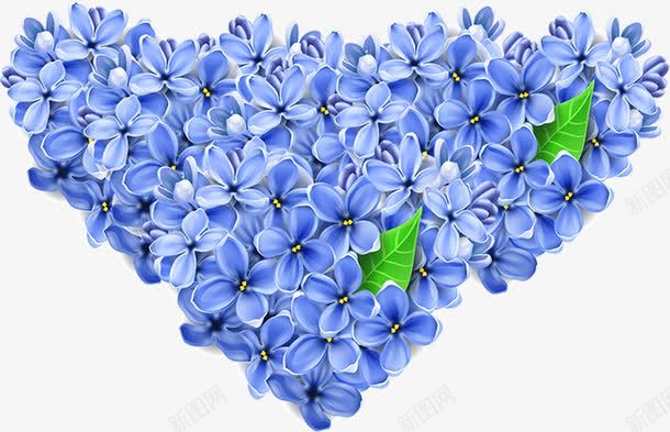 效果植物海报蓝色花朵png免抠素材_新图网 https://ixintu.com 效果 植物 海报 花朵 蓝色