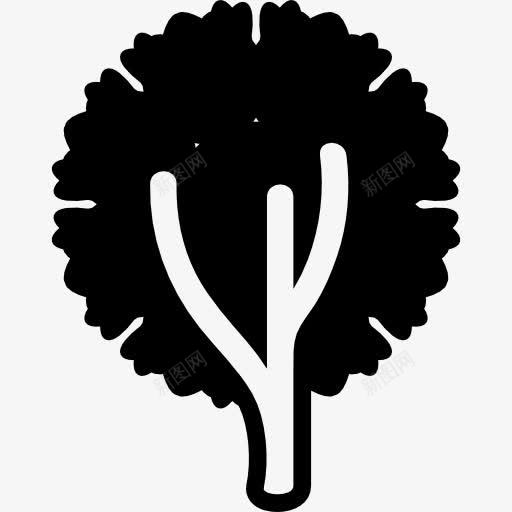 圆叶树图标png_新图网 https://ixintu.com 圆形 形状 性质 树 树叶 树干