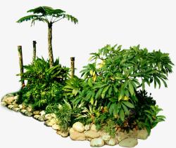 绿色景观植物装饰素材