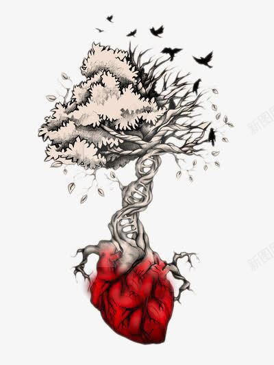 创意插画心脏树png免抠素材_新图网 https://ixintu.com 创意插画 卡通手绘 心脏 树