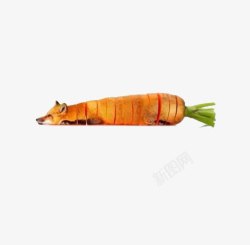 胡萝卜狐狸创意蔬菜高清图片