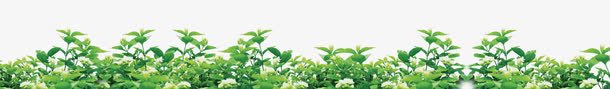 树丛png免抠素材_新图网 https://ixintu.com 绿色树丛 绿色植物 花丛 食物