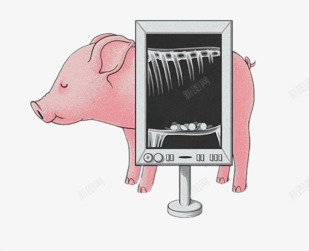 拍胸透的卡通猪psd免抠素材_新图网 https://ixintu.com 卡通 猪 猪肉 胸透 骨架