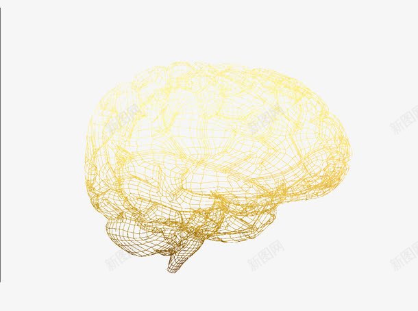 3D大脑分析图png免抠素材_新图网 https://ixintu.com 分析图 大脑 线条 解剖图