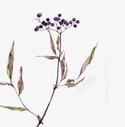 创意合成紫色的植物花卉素材