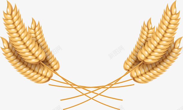 简约黄色稻穗png免抠素材_新图网 https://ixintu.com 小清新稻穗 水彩 简约稻穗 粮食 金色麦穗 食材 黃色稻穗 黄色稻穗