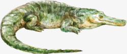 卡通鳄鱼装饰图案素材