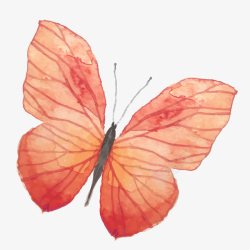 红色纹理蝴蝶元素素材