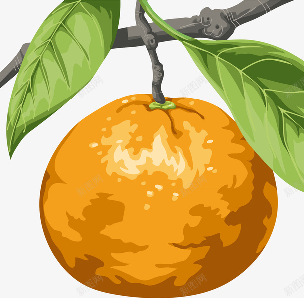 新鲜橘子矢量图ai免抠素材_新图网 https://ixintu.com 橘子 橘子水果 水果 矢量橘子 矢量图