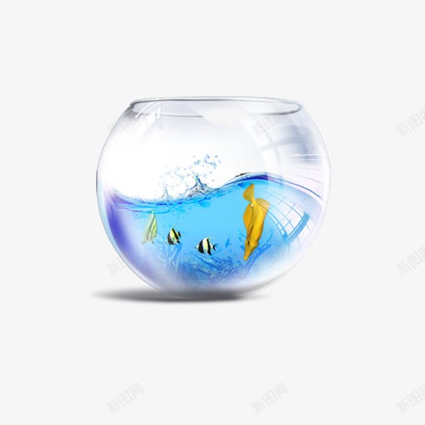 鱼缸的png免抠素材_新图网 https://ixintu.com 家居装饰 水 舍内设计 蓝色的 鱼 鱼缸
