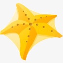 海明星Y所有谷歌图标png_新图网 https://ixintu.com Sea Y star y 明星 海