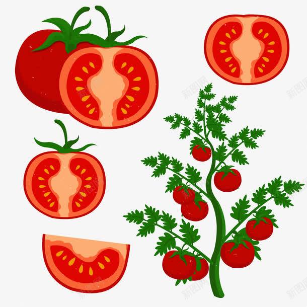 种植西红柿png免抠素材_新图网 https://ixintu.com 切片 创意 种植 红色 绿色 西红柿