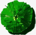 绿色植物手绘景观装饰png免抠素材_新图网 https://ixintu.com 景观 绿色植物 装饰