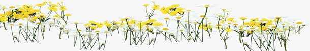 黄色美景花朵植物png免抠素材_新图网 https://ixintu.com 植物 美景 花朵 黄色