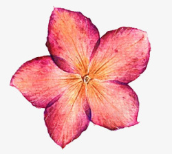 红色手绘花朵素材