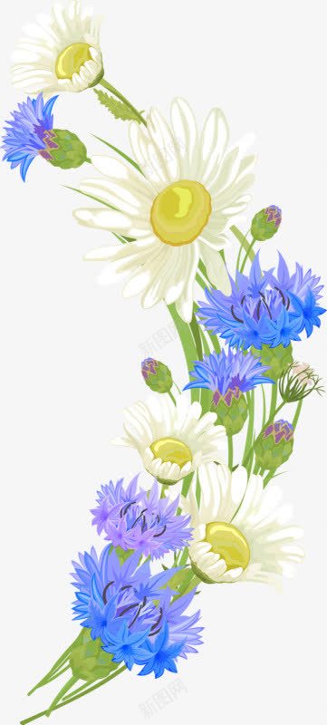 卡通手绘白色雏菊花朵png免抠素材_新图网 https://ixintu.com 健康 植物 白色花朵 绿色