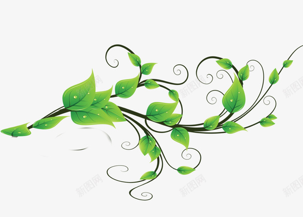 绿色清新树藤装饰图案png免抠素材_新图网 https://ixintu.com 免抠PNG 树藤 清新 绿色 装饰图案