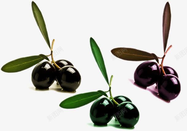 圆溜溜的油橄榄png免抠素材_新图网 https://ixintu.com 圆溜溜的 油橄榄 调味品 黑色风格