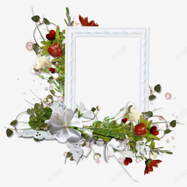 白色边框红色花朵装饰png免抠素材_新图网 https://ixintu.com 白色 红色 花朵 装饰 边框