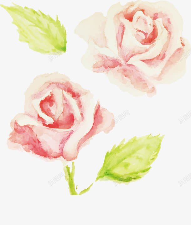 手绘粉色花朵png免抠素材_新图网 https://ixintu.com 手绘 插画 水彩 玫瑰花 花朵