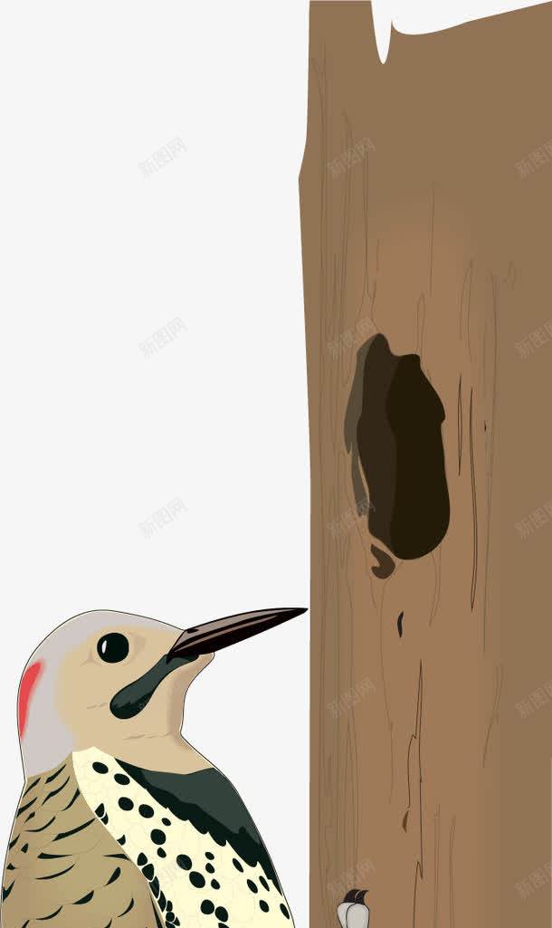 手绘啄木鸟png免抠素材_新图网 https://ixintu.com 啄木鸟 啄木鸟图案 手绘 树洞