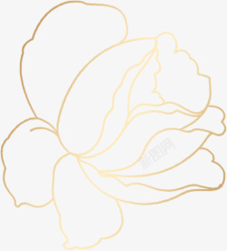 黄色渐变线条花朵素材