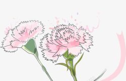 粉色手绘花朵康乃馨素材