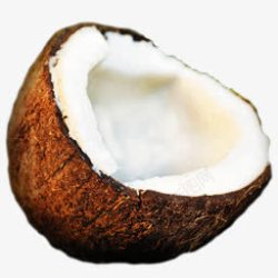 Coconut椰子fruitsaladicons图标高清图片