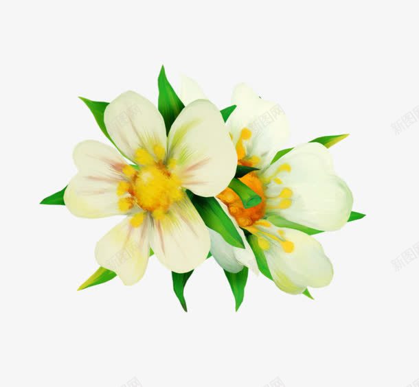 白色花朵png免抠素材_新图网 https://ixintu.com 大花 白色 绿叶 花朵 高清