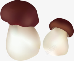 两个香菇卡通香菇高清图片
