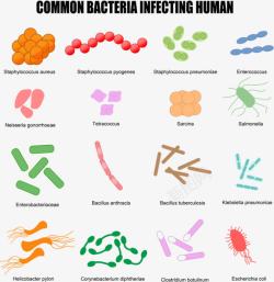 鏉惧彾彩色微生物高清图片