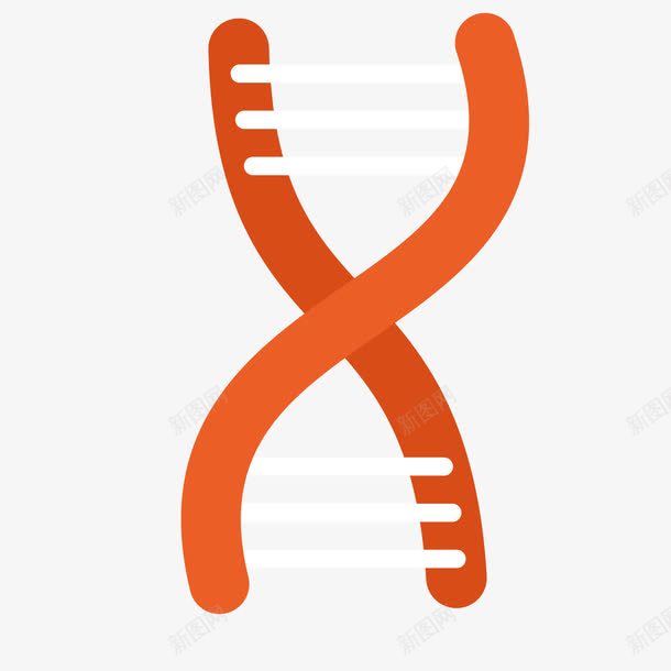 人体细胞染色体png免抠素材_新图网 https://ixintu.com 人体 染色体 细胞