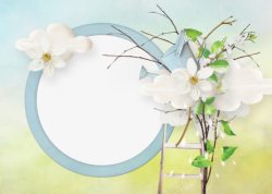 白色花朵圆形边框素材