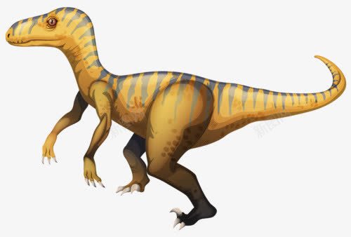 恐龙png免抠素材_新图网 https://ixintu.com 侏罗纪 卡通恐龙 巨型动物 远古生物