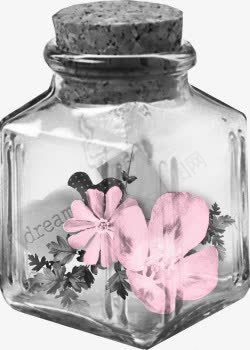 透明瓶子png免抠素材_新图网 https://ixintu.com 粉色花朵 花朵 花瓣 鲜花