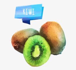 kiwi猕猴桃高清图片