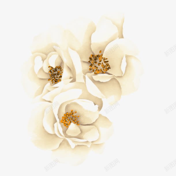 白色花朵新娘装饰花瓣png免抠素材_新图网 https://ixintu.com 新娘 白色 花朵 花瓣 装饰