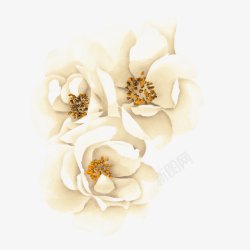 白色花朵新娘装饰花瓣素材