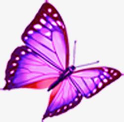 紫色蝴蝶创意合成素材