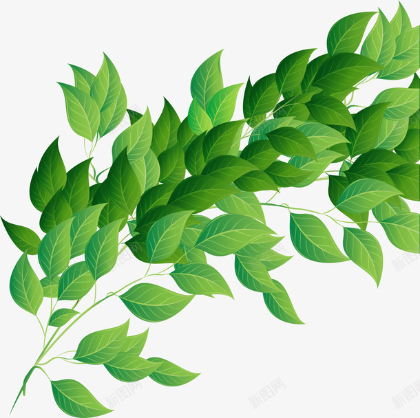 绿色叶子装饰png免抠素材_新图网 https://ixintu.com 叶子装饰 大自然 生机勃勃 绿色叶子 绿色枝条 绿色树叶