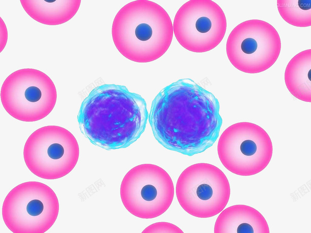 分子png免抠素材_新图网 https://ixintu.com 分子 圆 小圆 紫色