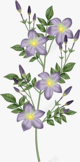 手绘桔梗花png免抠素材_新图网 https://ixintu.com 桔梗 植物 花朵 蓝紫色